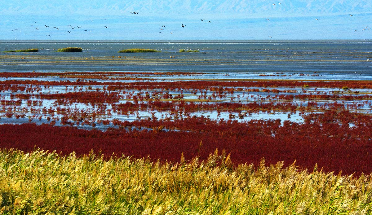 新疆兵团第五师双河市电视、摄影家协会俱乐部