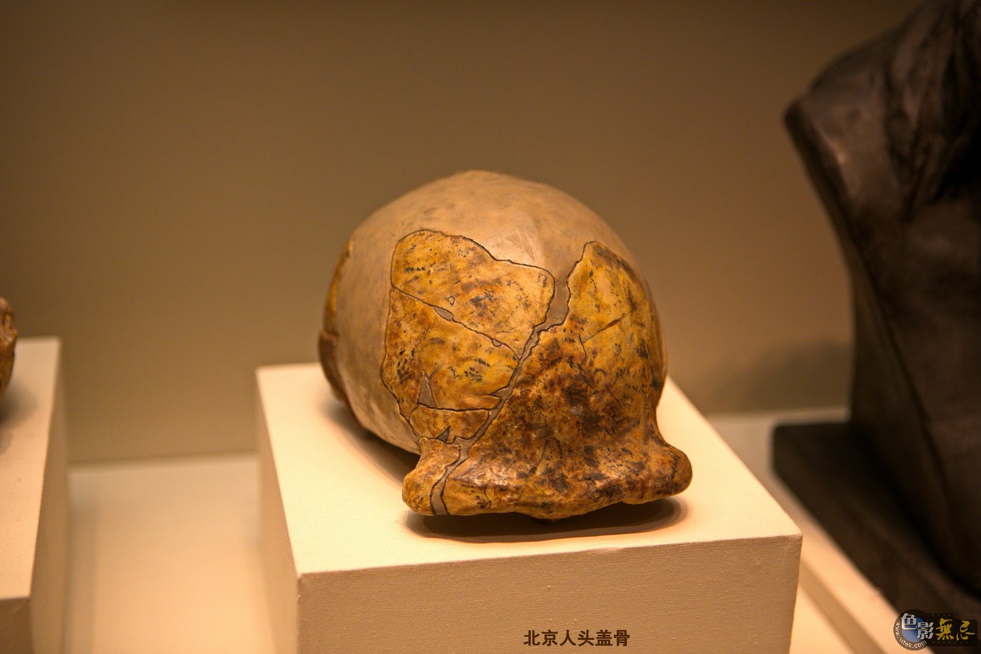 《北京人头盖骨》(复制品)         旧石器时代早期